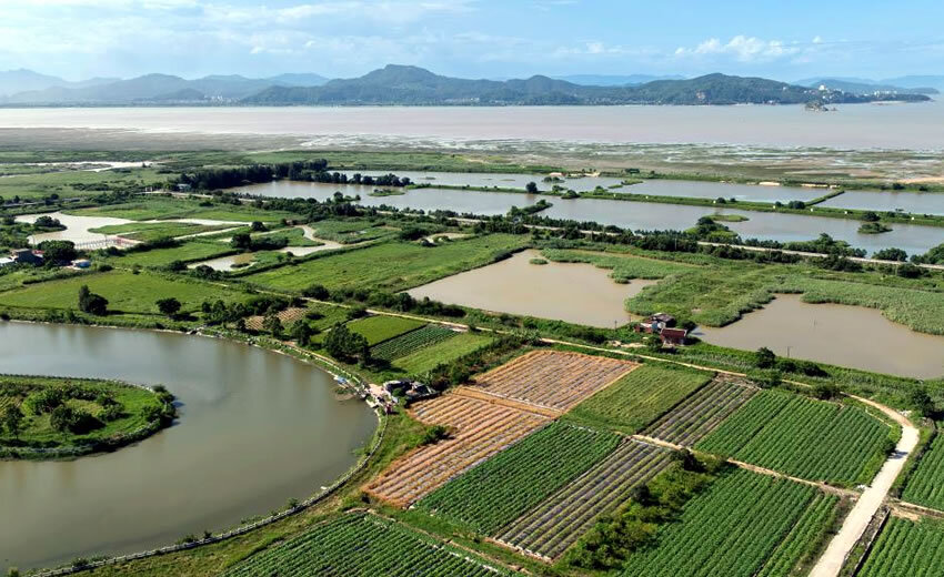福州：湿地之城 生态画卷